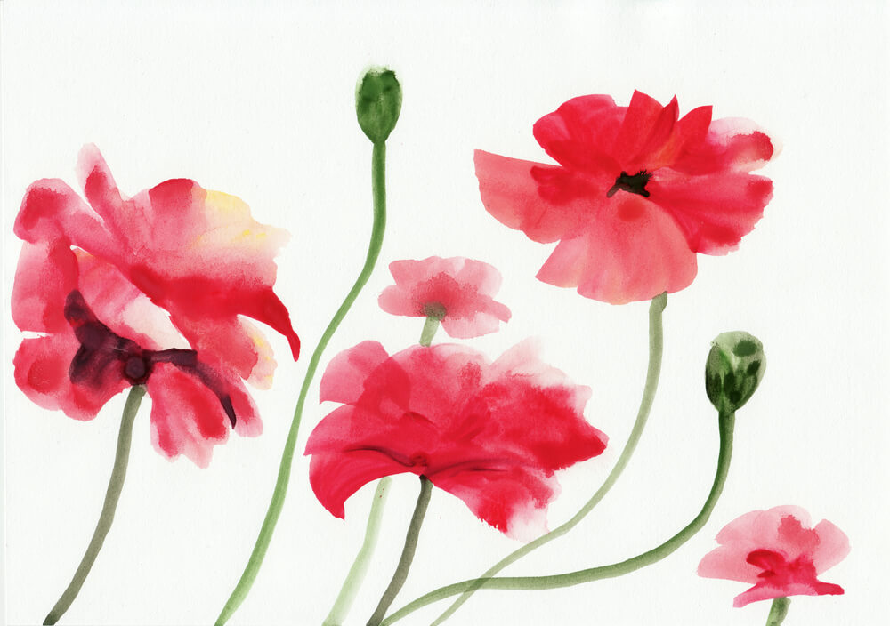Compassionate oncology acupuncture care for cancer recovery