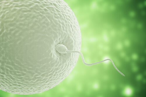 How to Improve Fertility Naturally: A Guide from a Fertility Acupuncturist